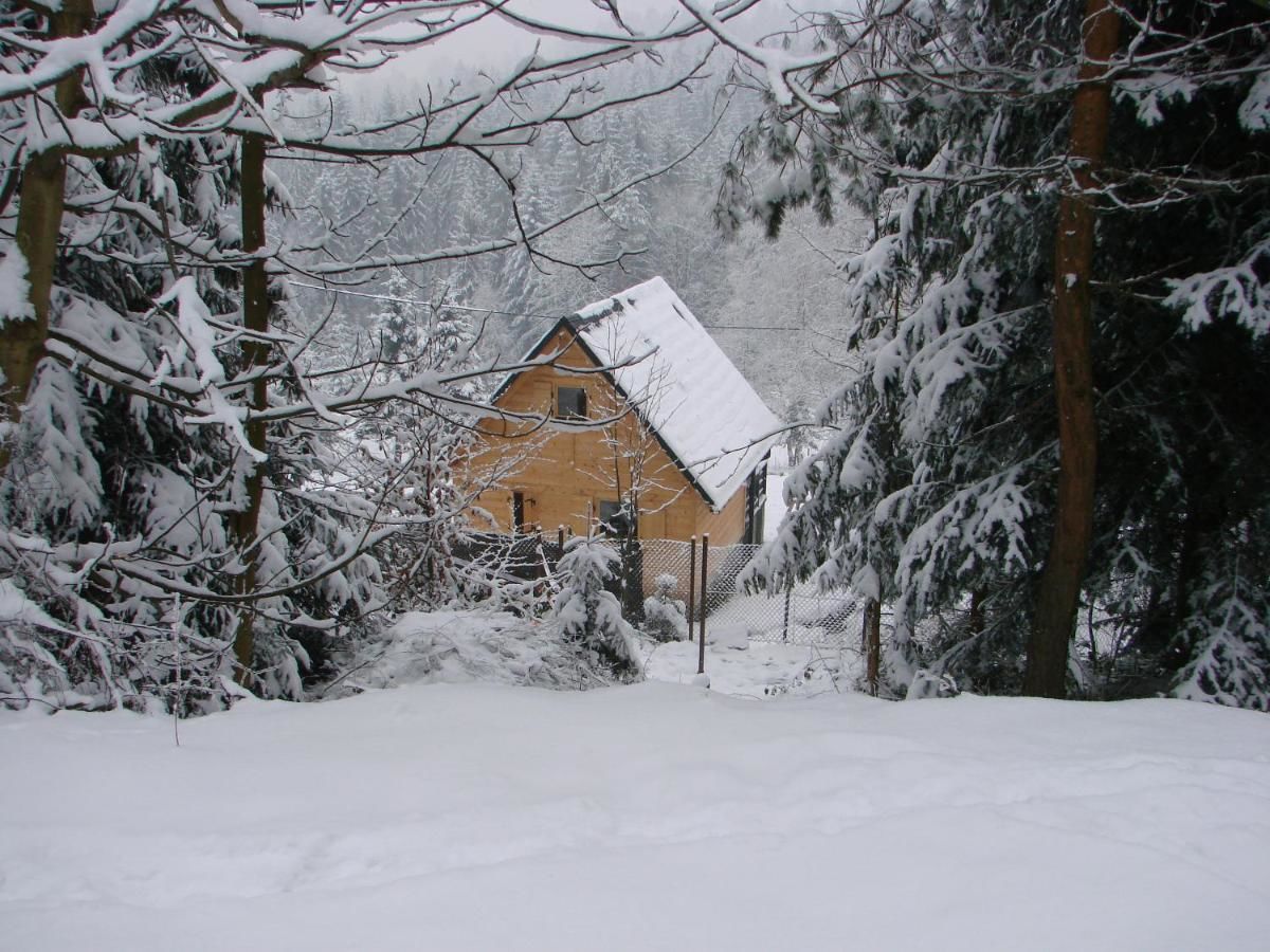 Дома для отпуска Villa Róża Kamesznica-6