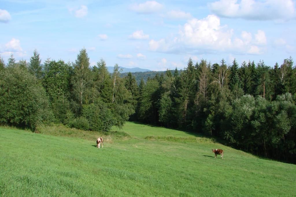 Дома для отпуска Villa Róża Kamesznica-56