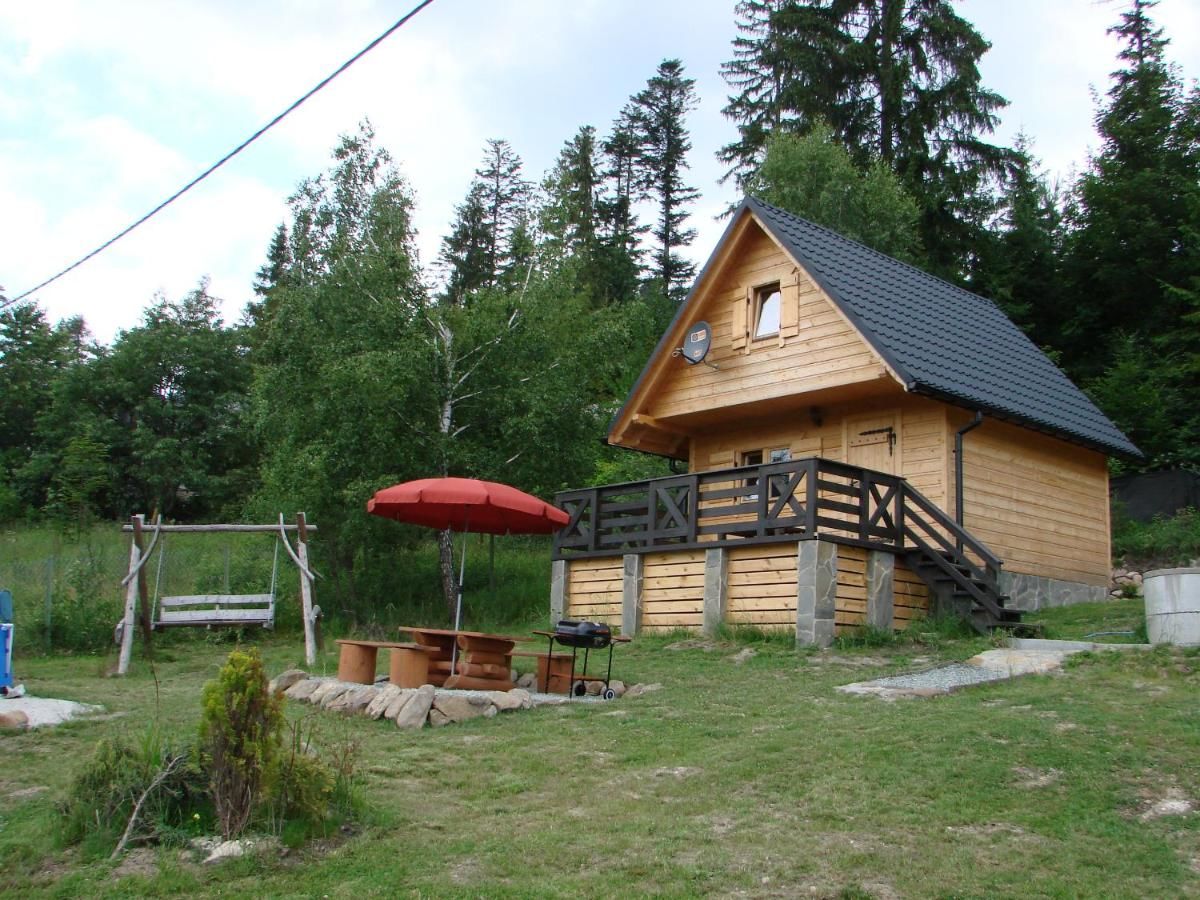 Дома для отпуска Villa Róża Kamesznica-9